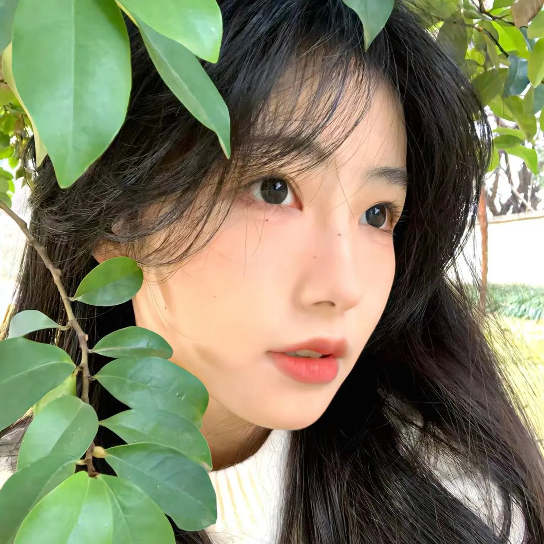 拿破仑